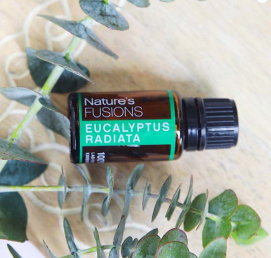 Eucalyptus Essential Oil 15ML